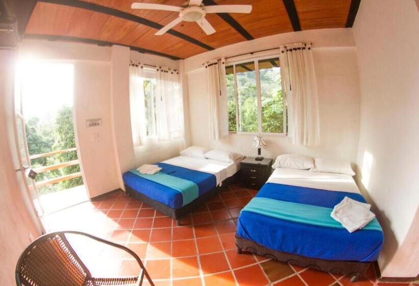 스탠다드 룸, La Selva Reserva