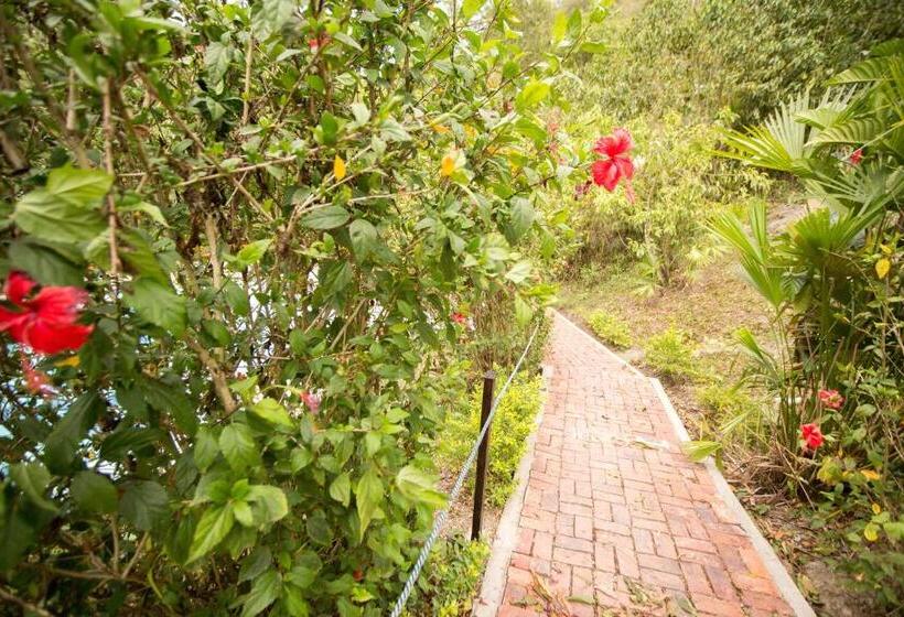 패밀리 룸 산 전망, La Selva Reserva