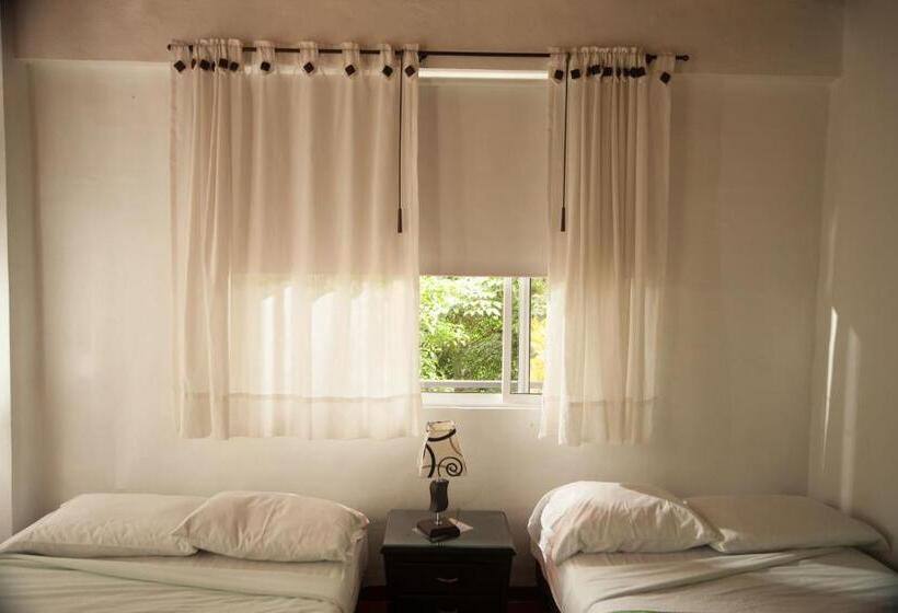 스탠다드 룸, La Selva Reserva