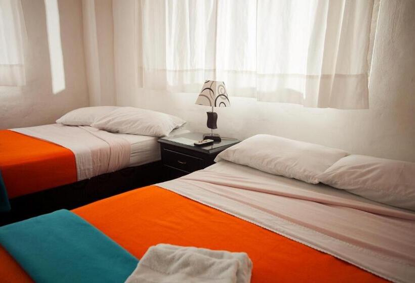 스탠다드 룸, La Selva Reserva