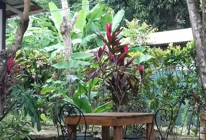 اتاق استاندارد, Bajo El Arbol B&b