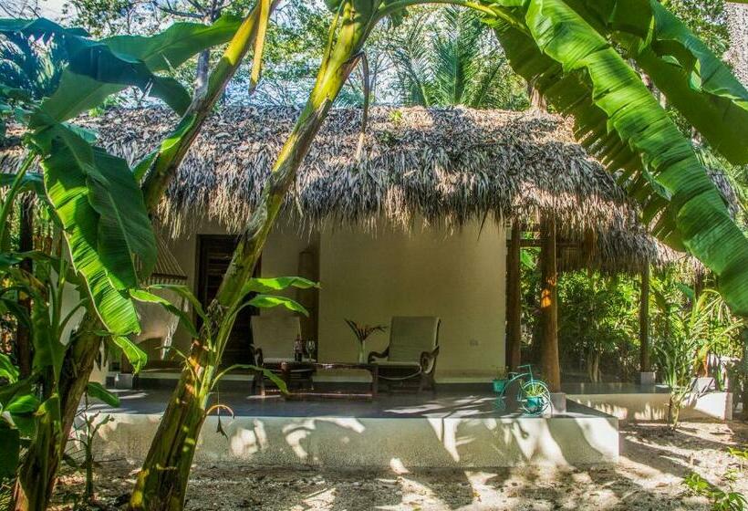 بانگلوی لوکس, Banana Beach Bungalows