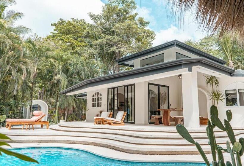 ویلای 1 خوابه, Banana Beach Bungalows