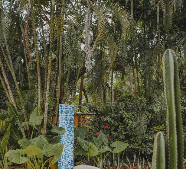 ویلای 1 خوابه, Banana Beach Bungalows