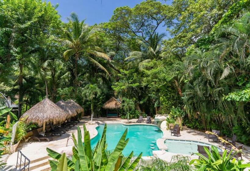 بانگلوی لوکس, Banana Beach Bungalows