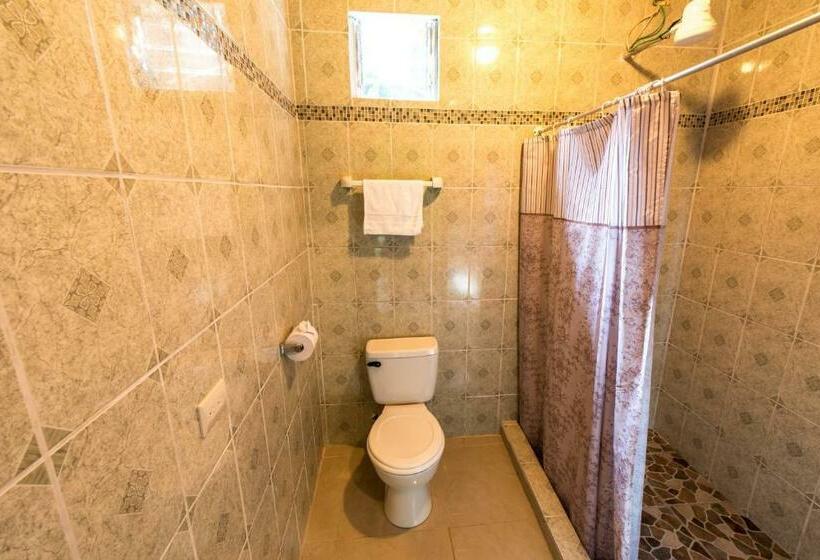 Quarto Estandar, Los Tucanes Lodging