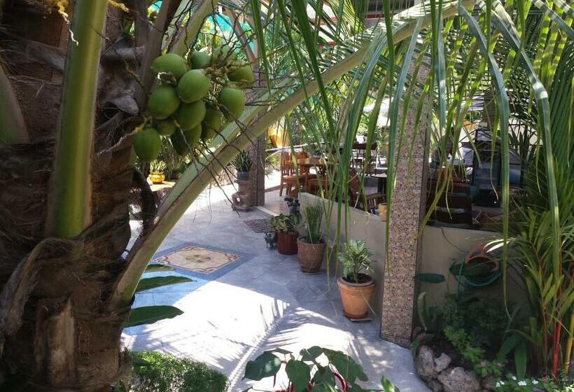 Quarto Quádruplo Estandar, Coyaba Tropical Elegant Adult Guesthouse