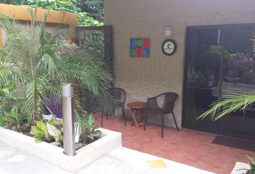 高级大房间, Coyaba Tropical Elegant Adult Guesthouse