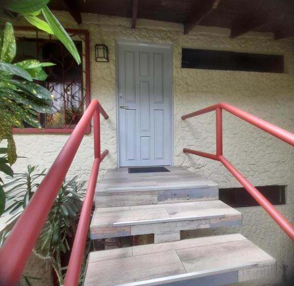 四人标准间, Coyaba Tropical Elegant Adult Guesthouse