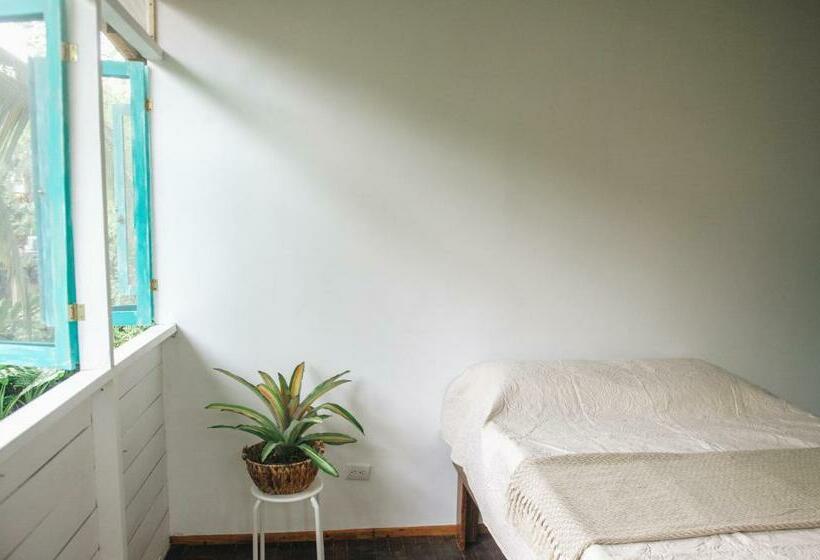 Номер Стандарт, Casa Bohö