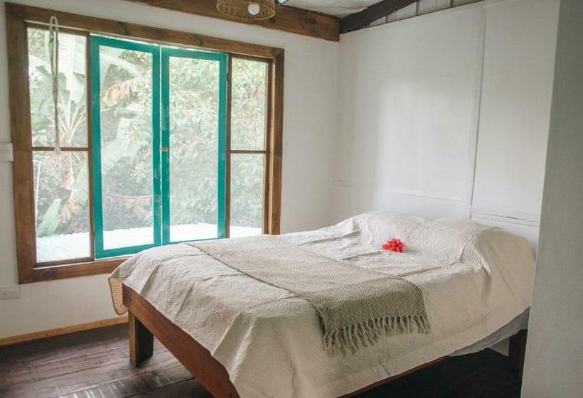 Номер Стандарт, Casa Bohö