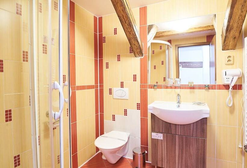 غرفة قياسية, Wellness Hotel Kocanda