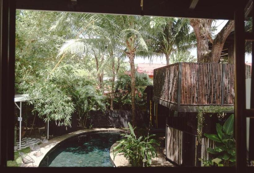 Standard-huone, La Negra Surf
