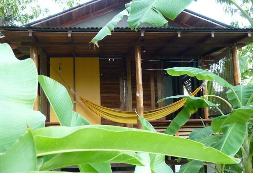 标准工作室, Luz De Luna