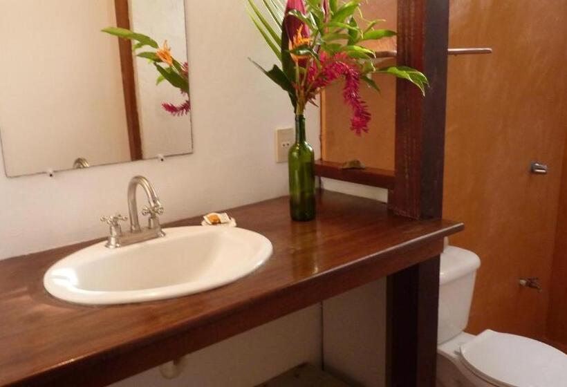 舒适三人间, Luz De Luna