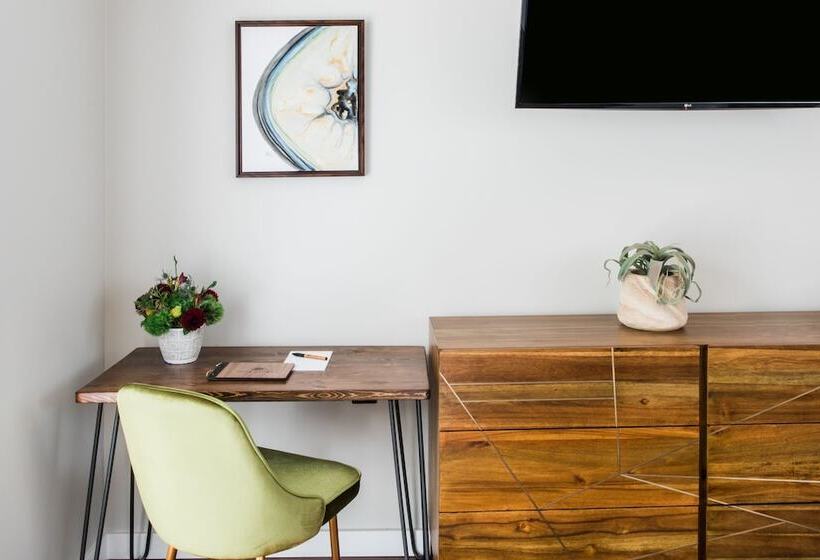 غرفة قياسية, Olea