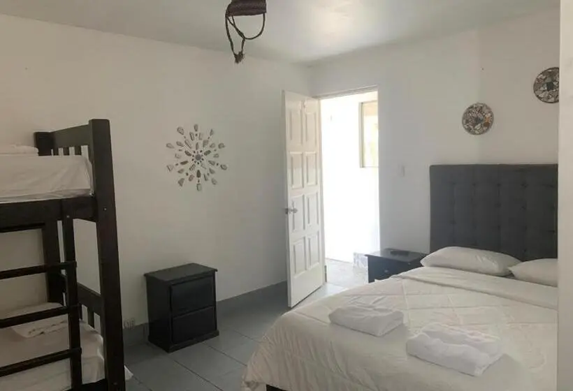 エコノミー４人部屋, Pico Alto, La Planicie