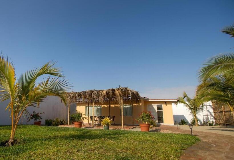 Полулюкс, órganos Beach Bungalows & Suites