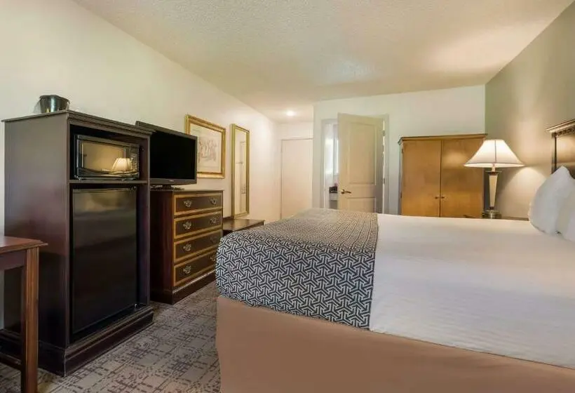 身障者適用キングサイズベッドルーム, Surestay Hotel By Best Western Thomson