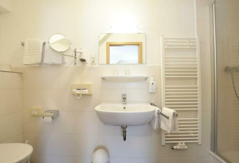 غرفة قياسية, Landhotel Albers