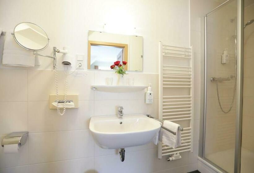 غرفة قياسية, Landhotel Albers