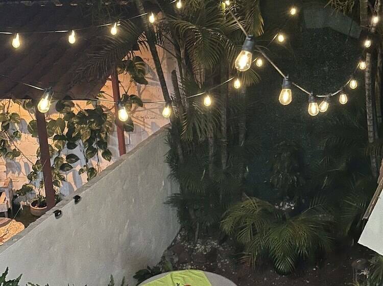 اتاق خانوادگی, Pacande B&b