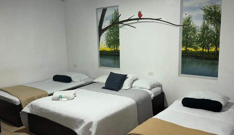 اتاق لوکس چهار تخته, Pacande B&b