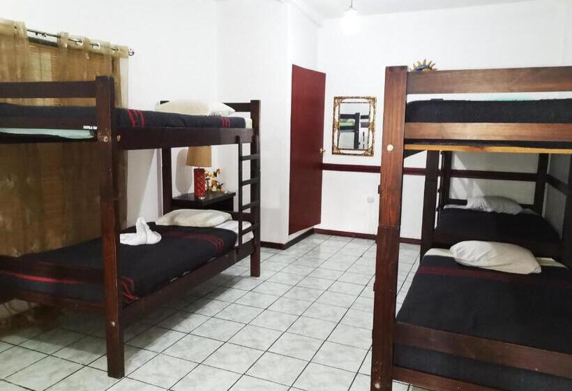 Четырехместный Номер Economy, Hostel Shakti