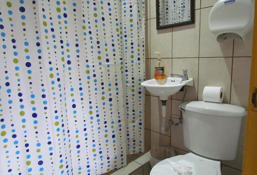 Номер Стандарт Трехместный, Hostel Shakti