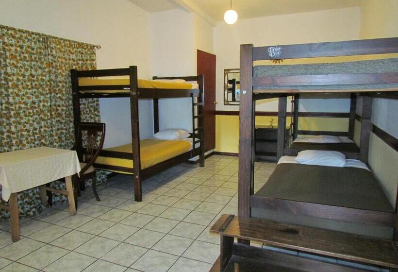 Семейный Номер Совместный Санузел, Hostel Shakti