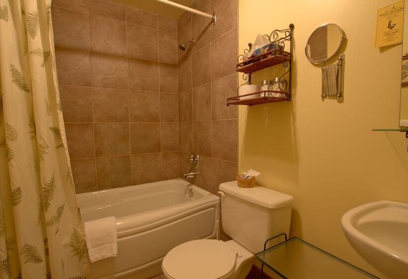 スタンダードルーム, Auberge Le Lupin Self Check In