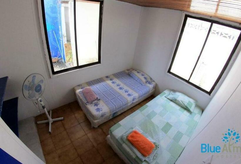 חדר סטנדרט, Blue Almond Hostel San Andres