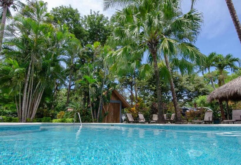 스탠다드 룸, El Manglar