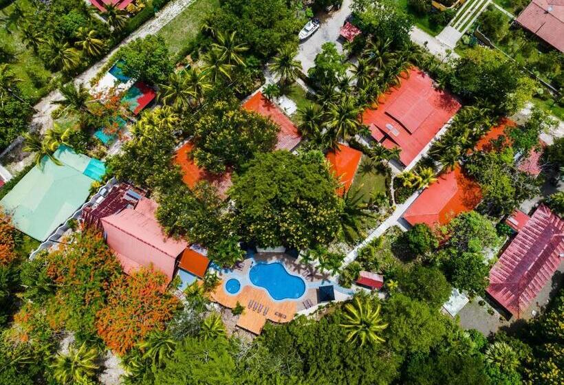 Студия Стандарт, El Sueno Tropical