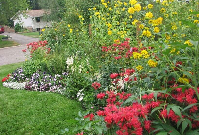 Номер Стандарт Совместная Ванная, The Grateful Bed B N B