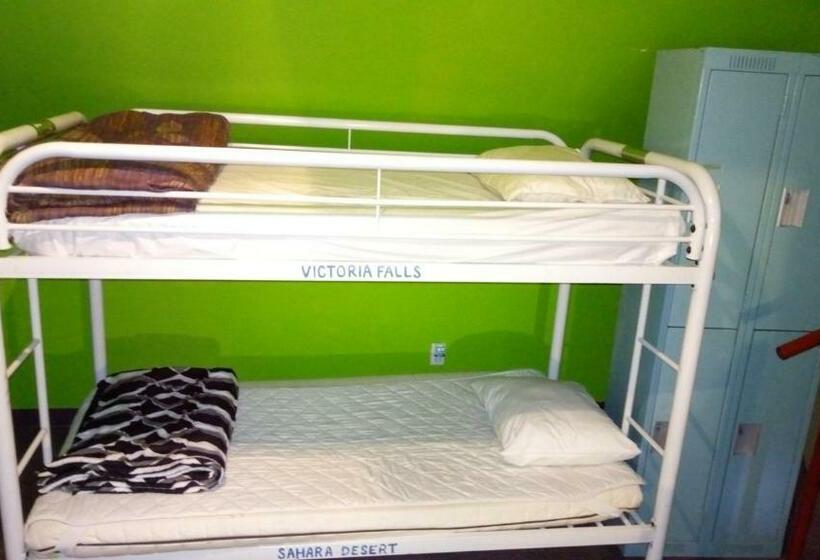 מיטה בחדר משותף, Ottawa Backpackers Inn