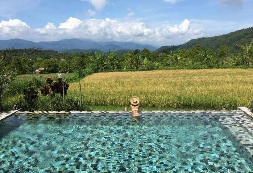 ３ベッドルームスタンダードバンガロー, Sanak Retreat Bali