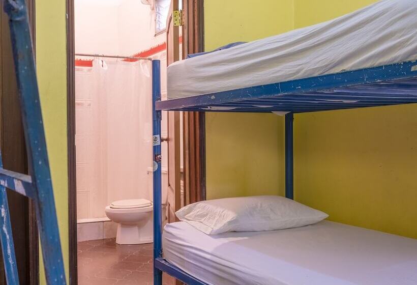 تختخواب در اتاق مشترک, 04 Hostel   Central Park