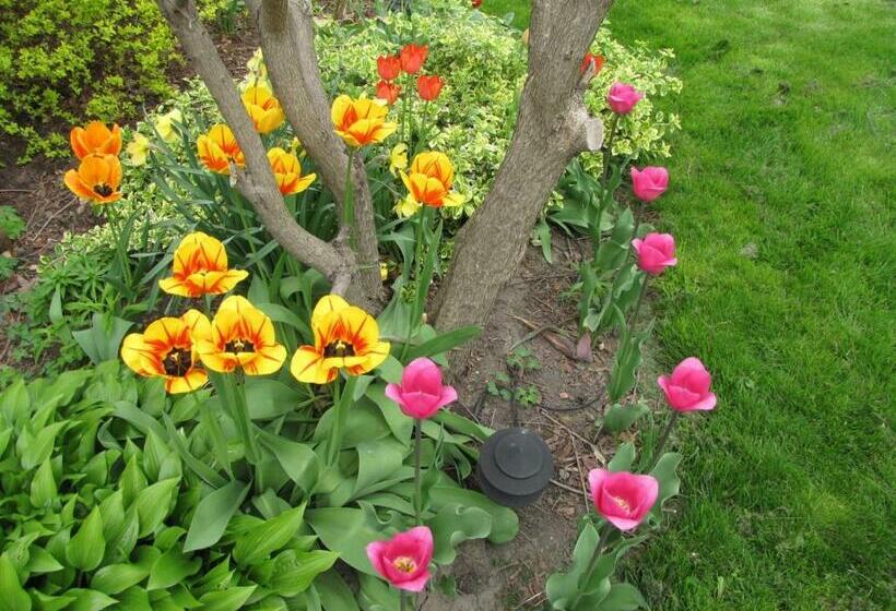 豪华房间, Strathaird Bed And Breakfast