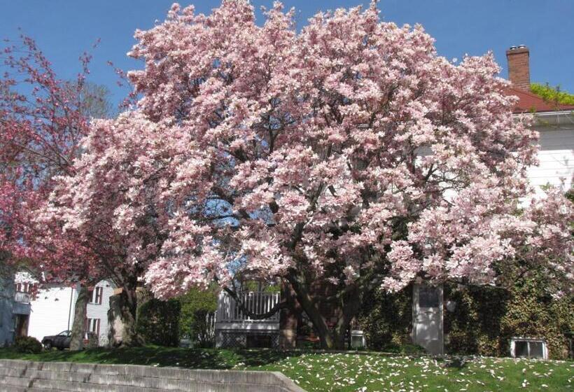 经济房, Strathaird Bed And Breakfast