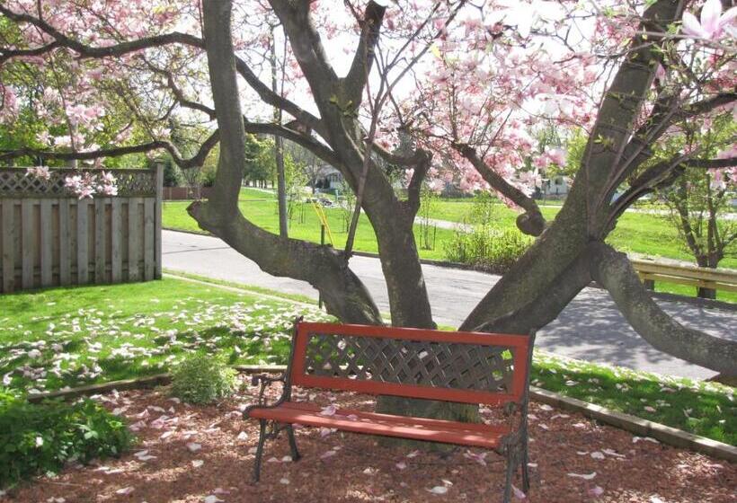 经济房, Strathaird Bed And Breakfast