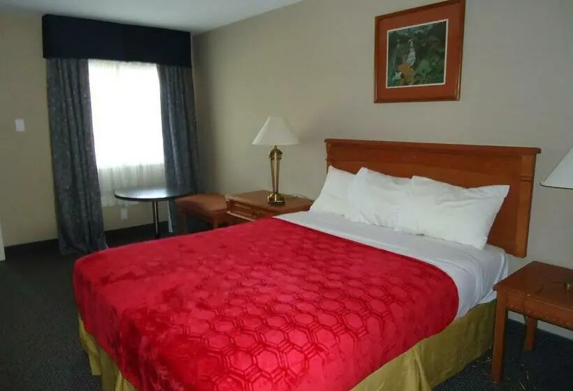 スタンダードルーム, Westmount Motel