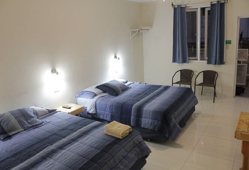 اتاق استاندارد با 2 تخت دوبل, Dreams Hotel Puerto Rico