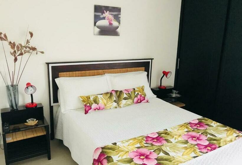 Economy Zimmer, Meson De Las Flores