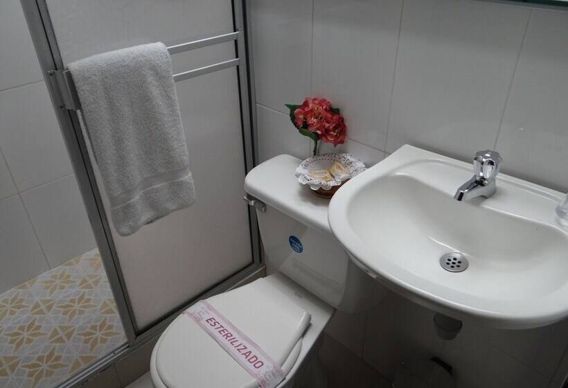 Standardzimmer, Meson De Las Flores