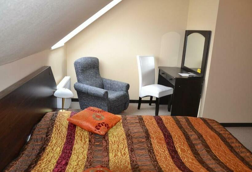اتاق استاندارد, City Center Kaķis B&b