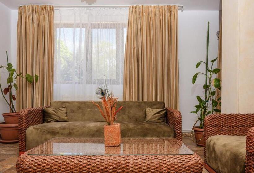 דירת חדר, Grand