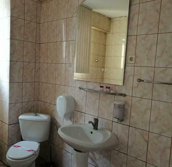 ベーシックトリプルルーム, Green House