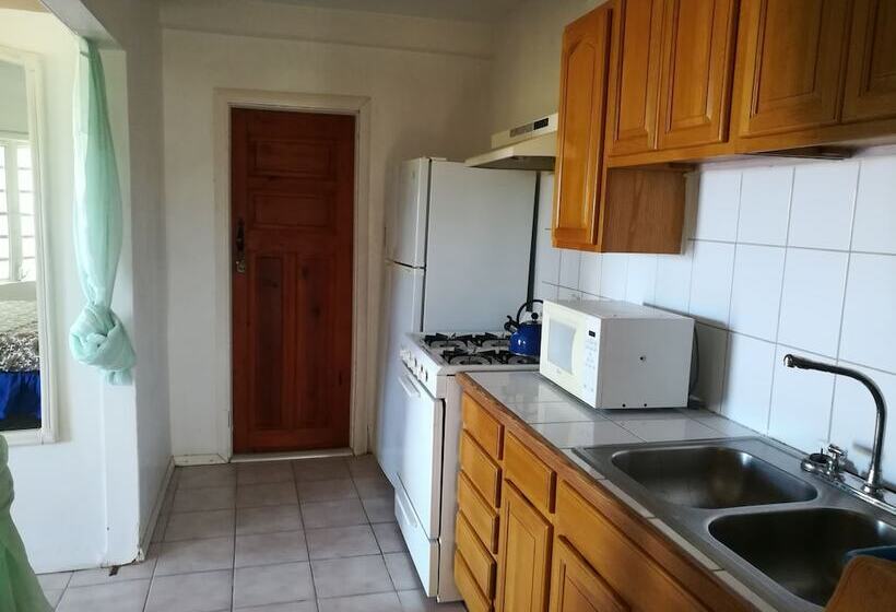 استودیو استاندارد با تخت کینگ, Inn La Galleria