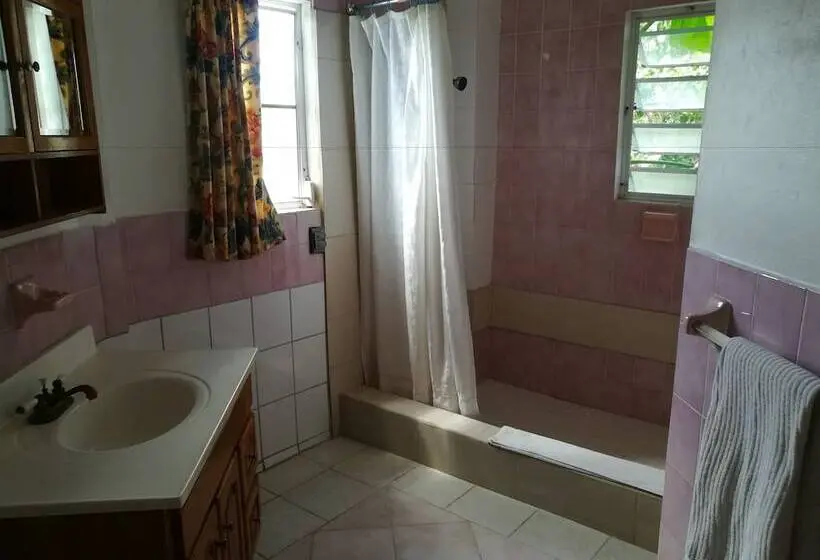 استودیو استاندارد با تخت کینگ, Inn La Galleria
